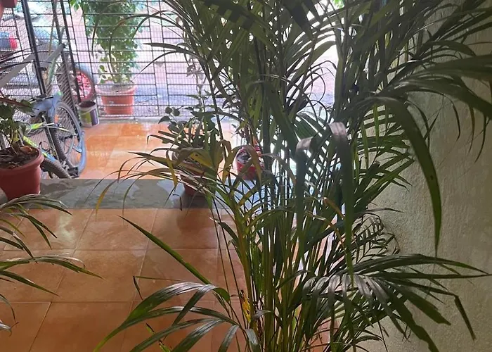 Tony Home Stay